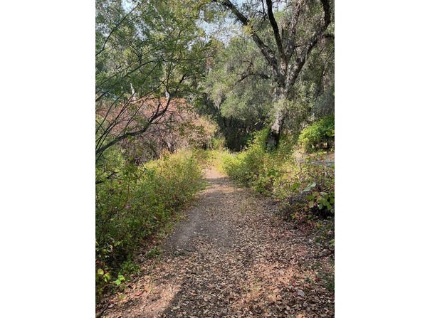 68 Asoleado DR, CARMEL VALLEY, CA 93924