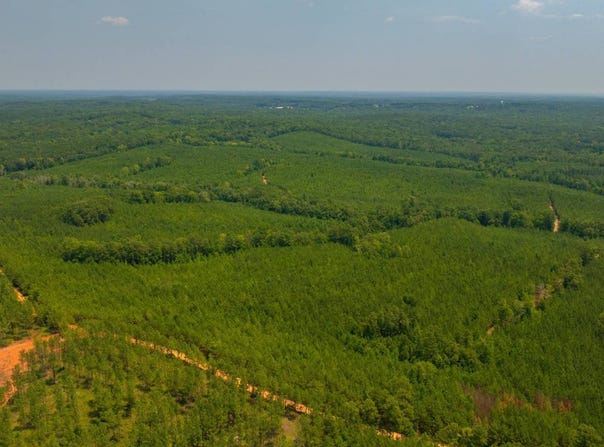 Taylor Road, Musella, GA 31066