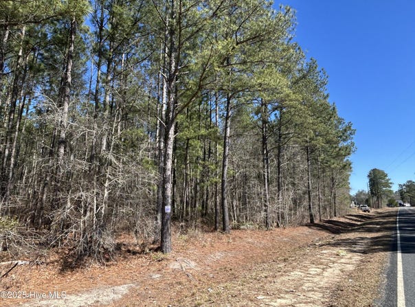 John Owen Road, White Oak, NC 28399
