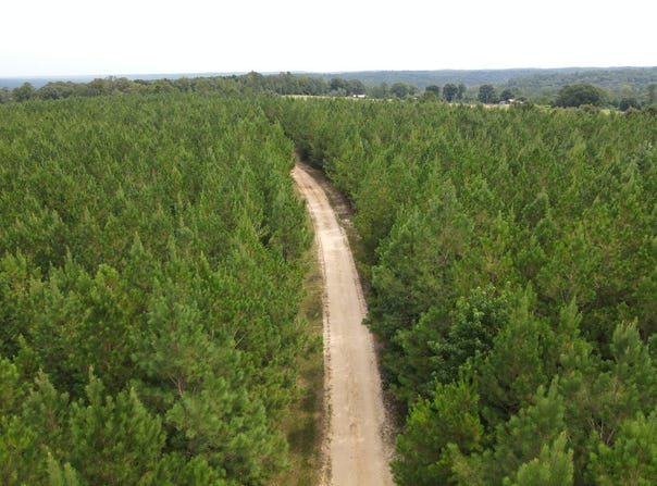 Buckhead Lane, Tract B, Jackson, AL 36545