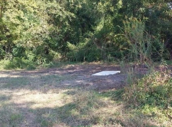 Davis Lane lot: 1, Mullins, SC 29574