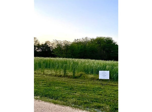 4008 Concord Ln, Wapello, IA 52653