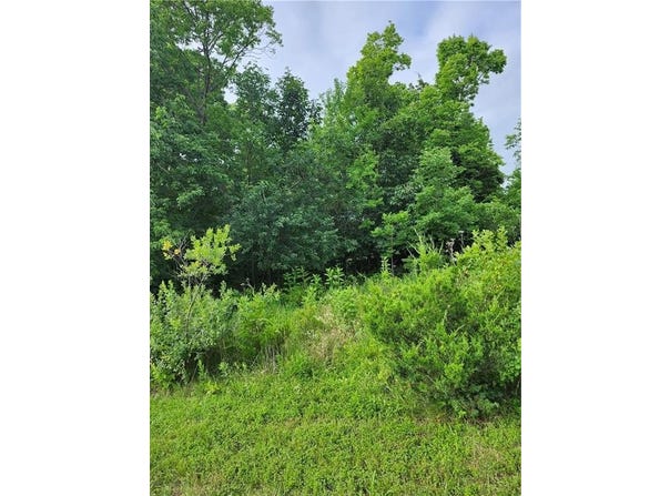 9 E Ridgewood Circle, Linn Valley, KS 66040