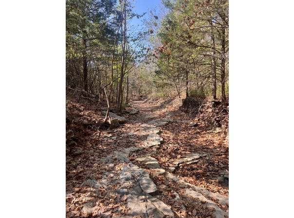 Moore Road, Mountain Grove, MO 65711