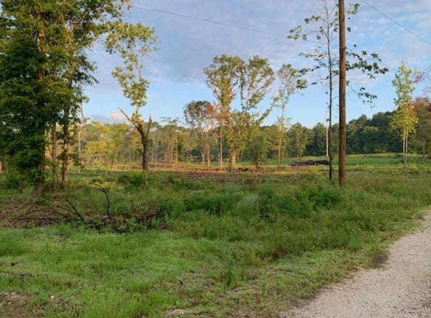 Tract 1 Coop Trail, Bismarck, AR 71929