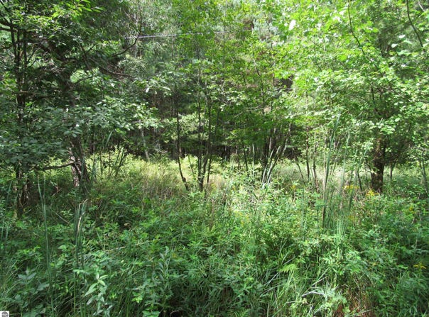 Duby Road, Tawas City, MI 48763