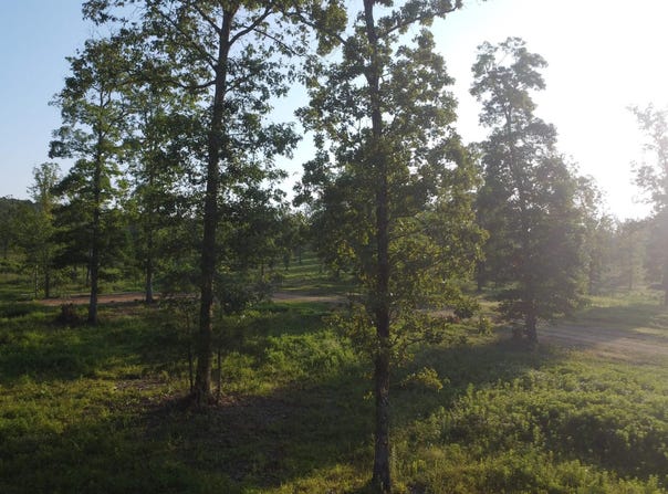 Tract 08 TBD Whittington Homestead, Story, AR 71970-9999