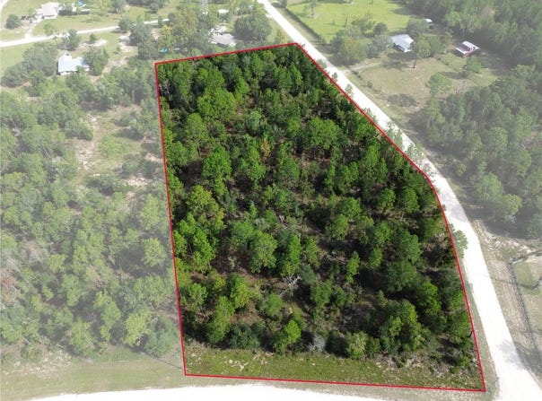 NE 132ND Court, WILLISTON, FL 32696