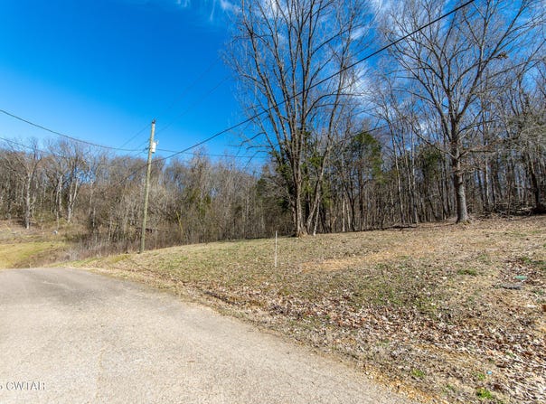 Salt Lane, Savannah, TN 38372