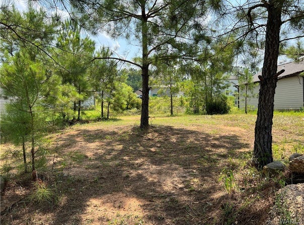 110 Crimson Ridge Rd, Brookwood, AL 35444