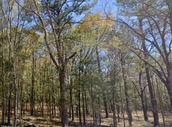 Ferrell Rd, Andalusia, AL 36421