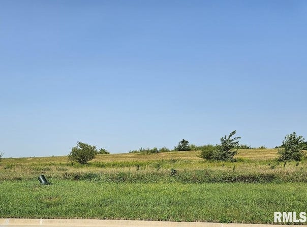 Kyle Court lot: 80, Metamora, IL 61548