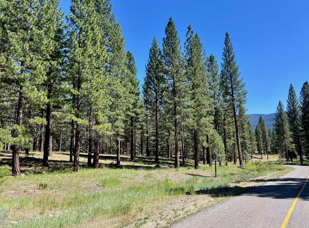1855 Valley Ranch Drive, Clio, CA 96106