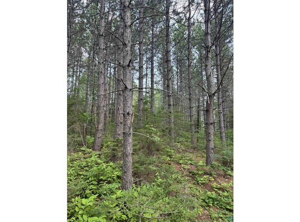 High Ridge Dr, Schroeder, MN 55614