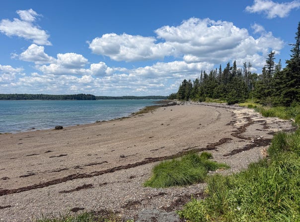 Yoho Head Road lot: 80, Machiasport, ME 04655