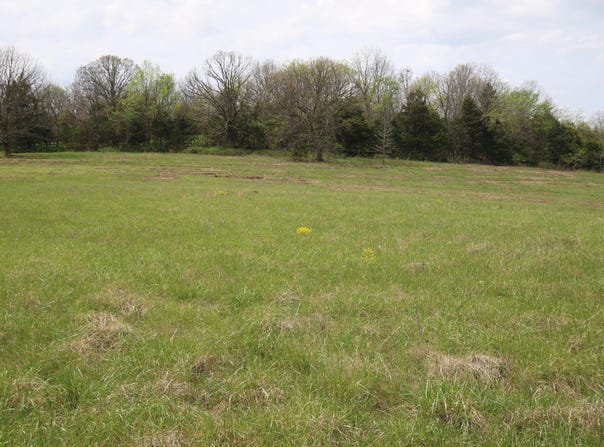 River Pass Drive lot: 11, Marshfield, MO 65706