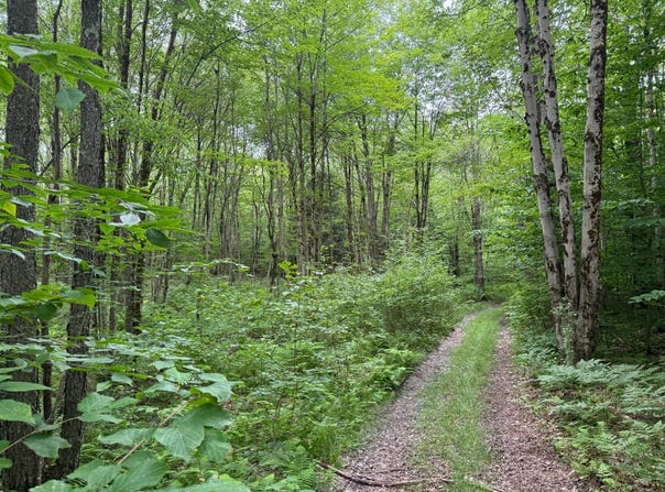 Lee Rd lot: 10, Florence, NY 13316