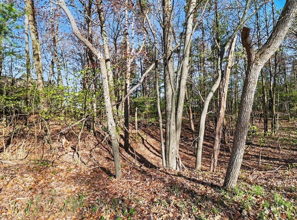 Silver Ridge Road lot: 11, Mears, MI 49436