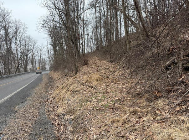 N Route 219, Renick, WV 24966