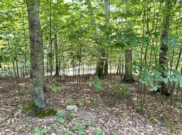 15 S Mistys Trail, Empire, MI 49630