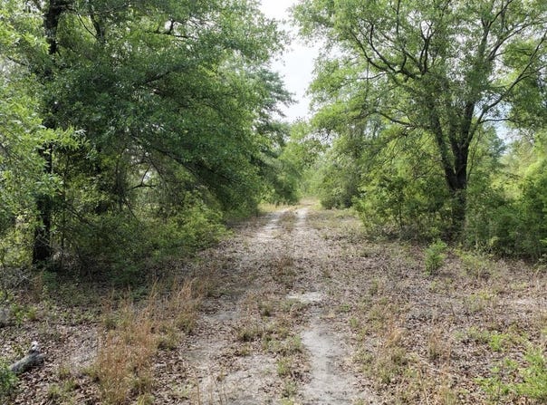 Vacant NE Cedar Trail, Pinetta, FL 32331