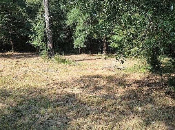4710 John Sims Road E, Wilmer, AL 36587