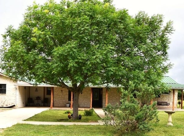 8400 Maner Rd, Harper, TX 78631