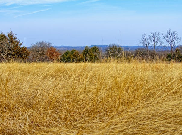 FM 3206, St Jo, TX 76265
