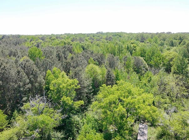 4049 Bethsaida Road, Boaz, AL 35957