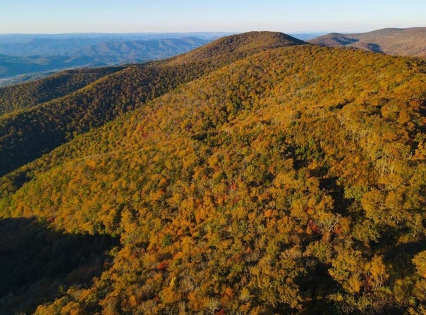 Honeysuckle Rd, Elliston, VA 24087