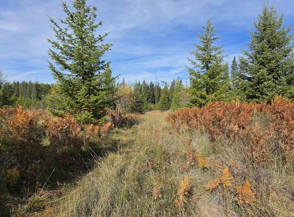 Timberline Heights, Parcel 5, Weippe, ID 83553