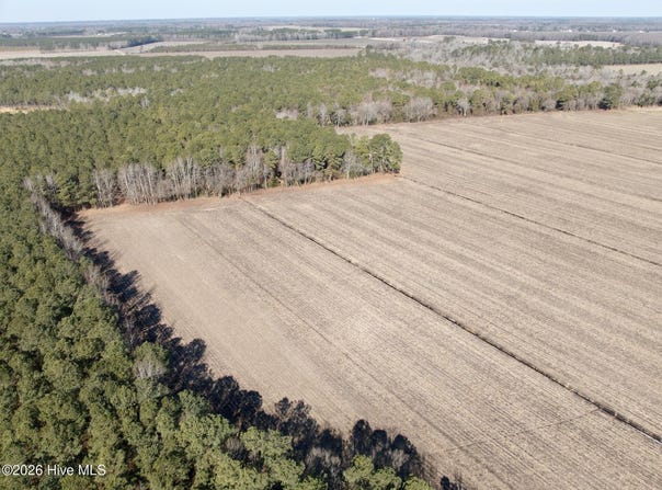 Sandy Ridge Road, Tyner, NC 27980
