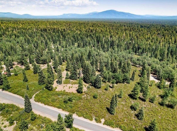 2-D-30 Snowline Dr., McCloud, CA 96057