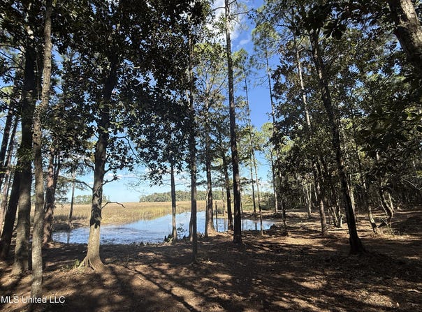 1210 Delapointe Drive, Gautier, MS 39553