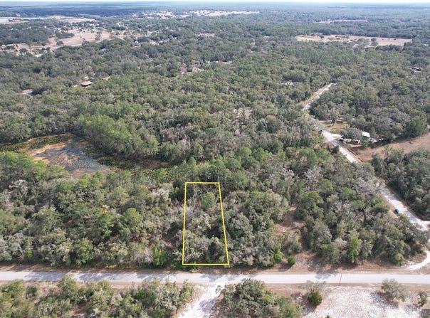 LEWIS Lane, WEBSTER, FL 33597