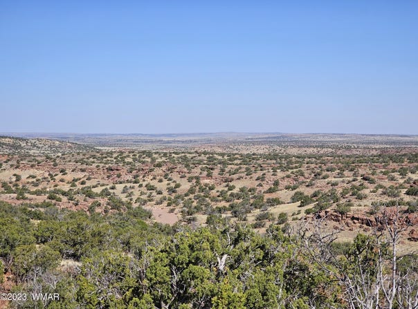 N6448, St. Johns, AZ 85936