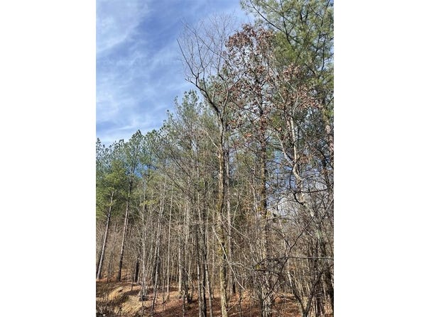 773 Timber Creek Trails S XI, Broken Bow, OK 74728