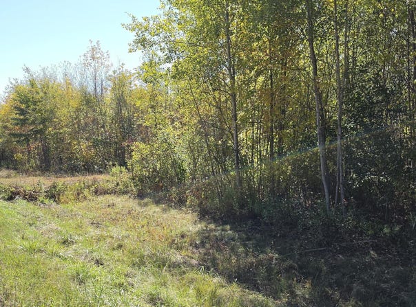 ON CTH W, Winter, WI 54896