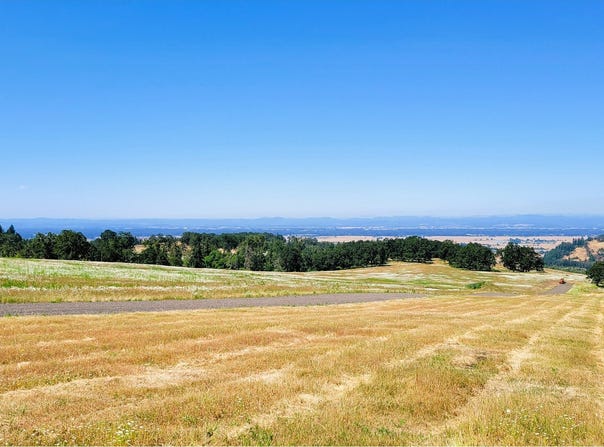 34086 Mt Tom Dr, Harrisburg, OR 97446