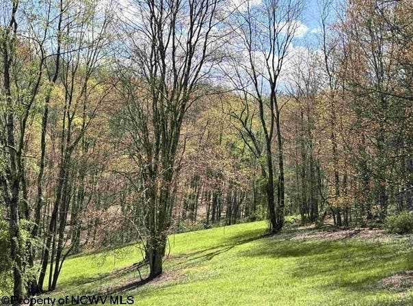 Porterfield Road, Philippi, WV 26416