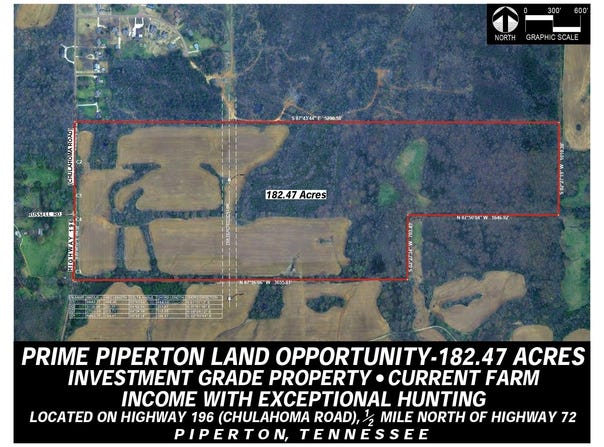 196 Hwy, Piperton, TN 38017