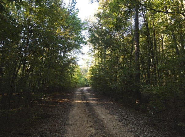 Hempstead 272, McCaskill, AR 71847