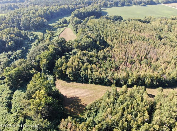 390 Old Panola Rd, Sardis, MS 38666