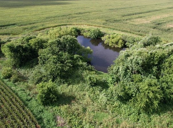 3361 FM 1862, Palacios, TX 77465