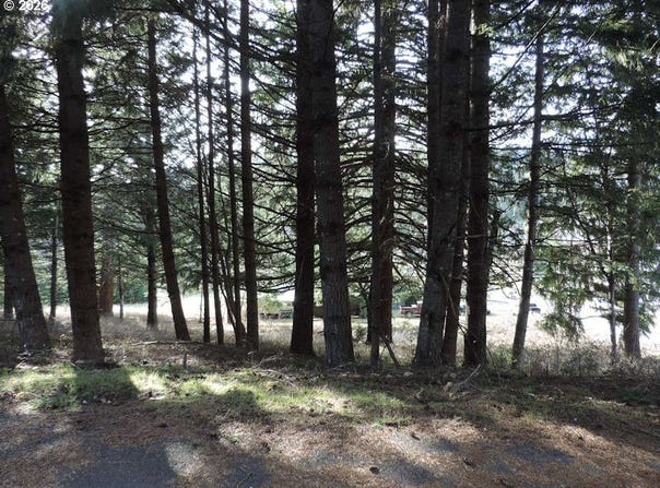 Sophie Ln, Carson, WA 98610