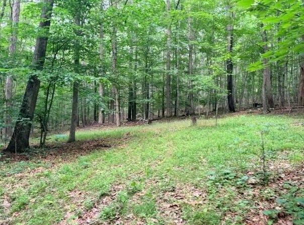 Molly Mann Rd, HINTON, WV 25951