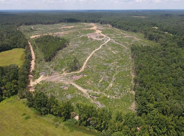 Country Road 428, PARIS, MS 38949