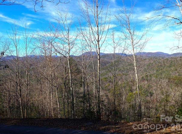Ruffed Grouse Road, Brevard, NC 28712