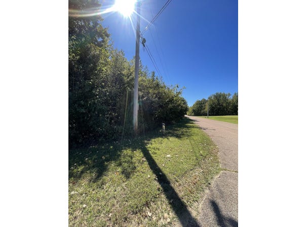 MCCREIGHT Dr, Millington, TN 38053