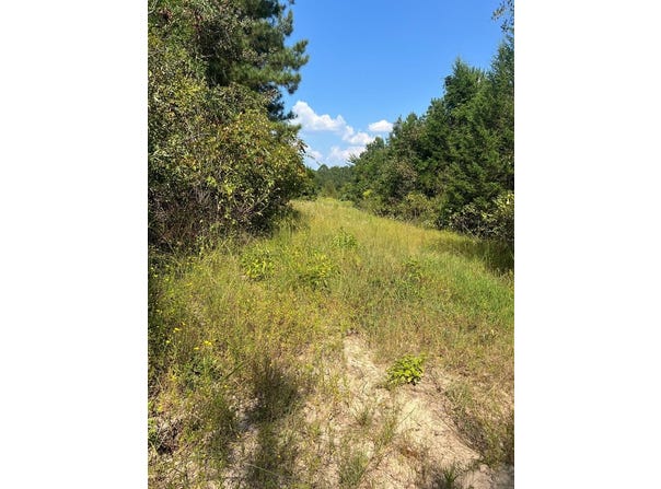 1072 CR 1111, Atlanta, TX 75551